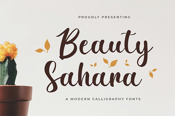 Beauty Sahara: A Playful Script Font for Web Design