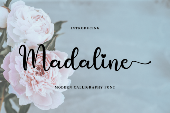 Madaline: A Refined Script Font for Modern Web Design