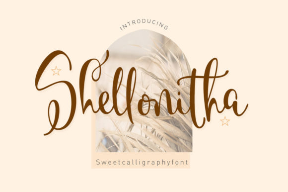 Shellonitha: A Sweet Script Font for Web Design